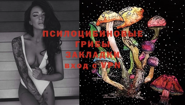 круглые Ельня