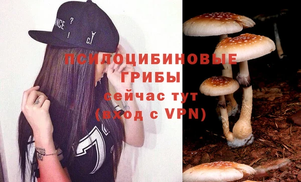 а пвп мука Елизово