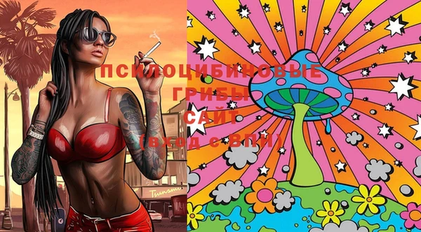 ECSTASY Елабуга