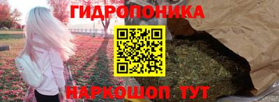 Альфа ПВП Лесосибирск