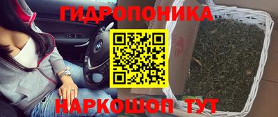 дмт Свободный