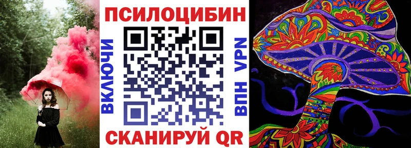 Псилоцибиновые грибы Cubensis  где купить наркотик  shop телеграм  Заринск 