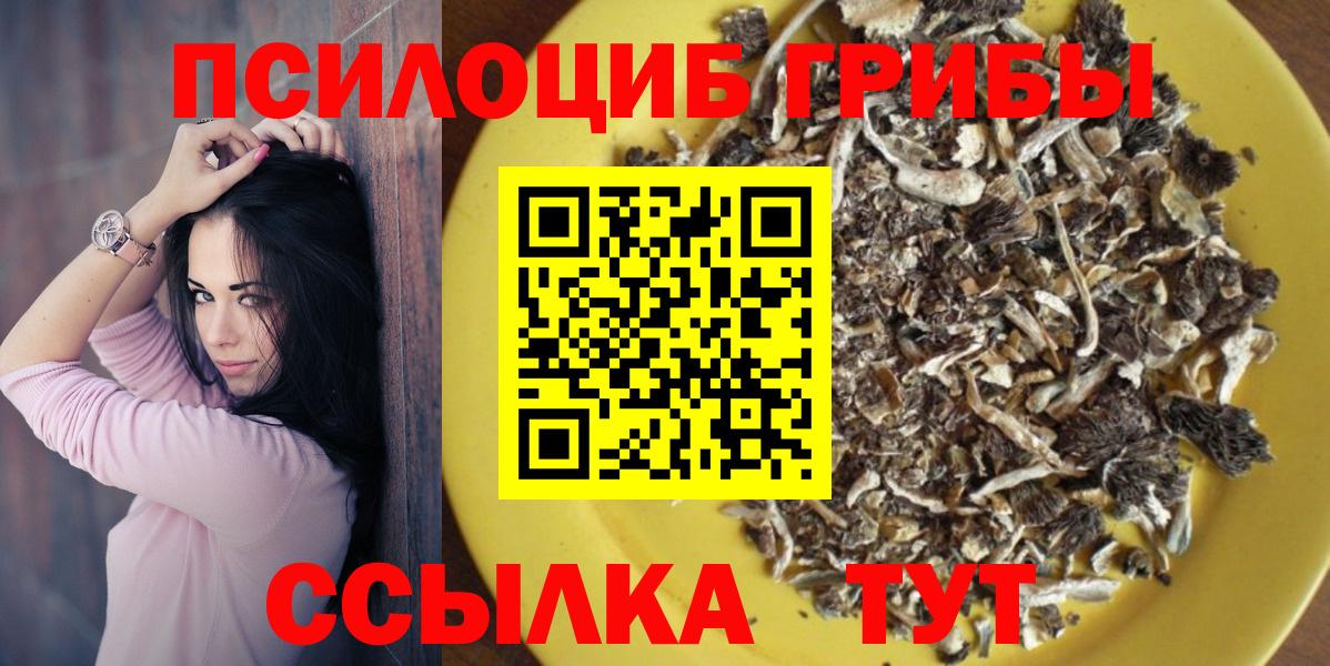 Галлюциногенные грибы прущие грибы  Вход с VPN  Заринск  Галлюциногенные грибы Psilocybine cubensis 